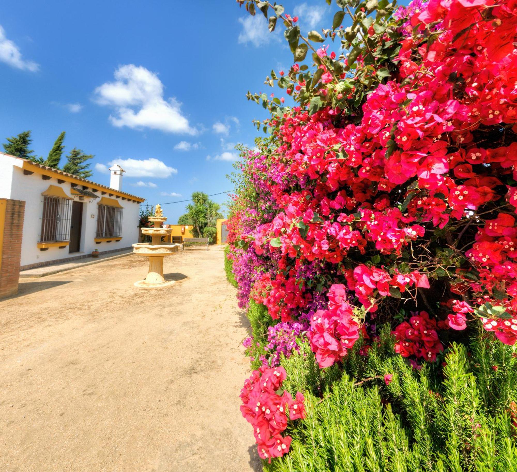 Country house Hacienda Majadales *